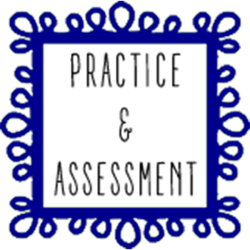 Practice & Assessment icon