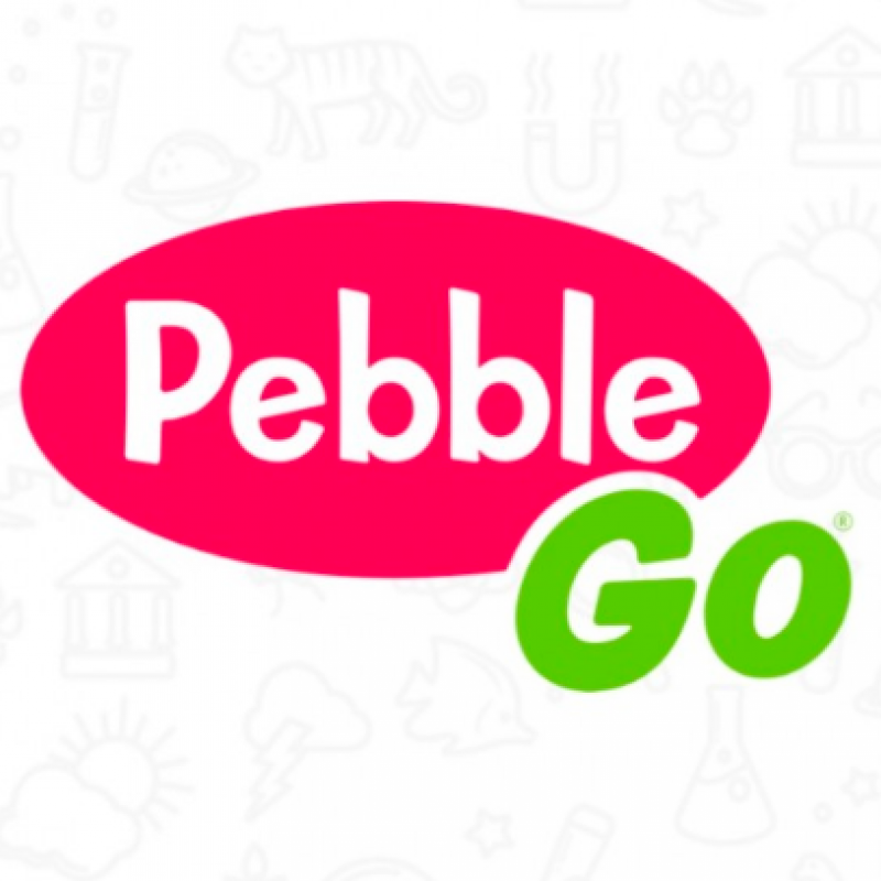 Pebble Go app icon