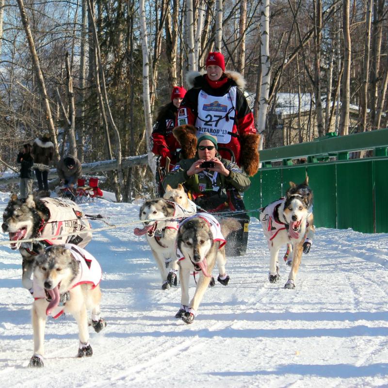 Sled dogs and Iditarod racer on trail